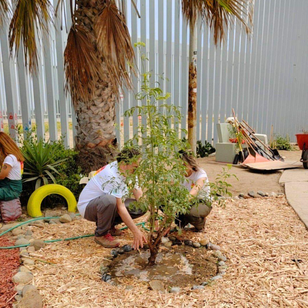 A photo of volunteers planting new trees in the Binational Garden of Native Plants at Friendship Park.