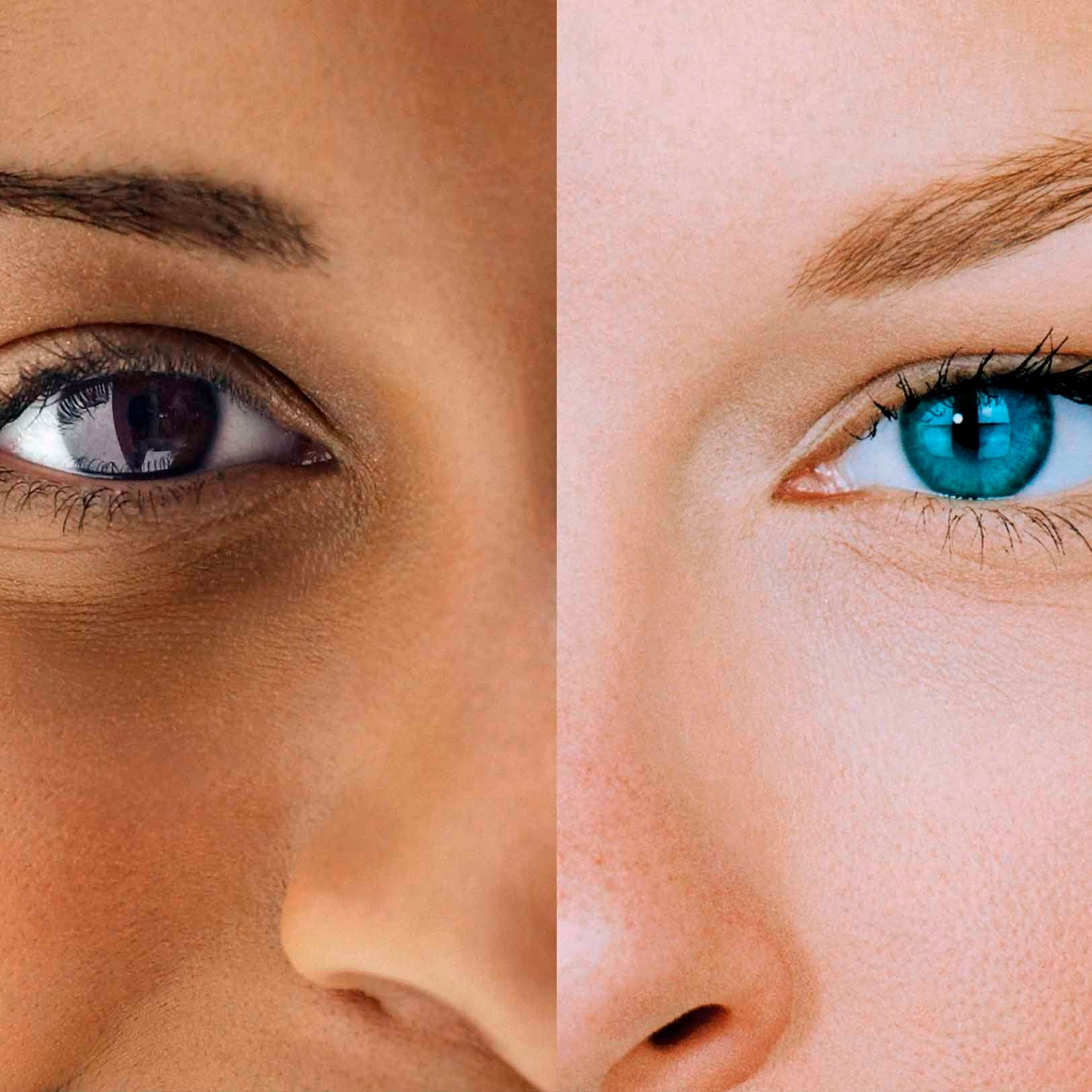 Combined photos of half of two individuals' faces, making a complete face. The individual on the left has brown eyes and brown skin, the individual on the right has blue eyes and white skin.