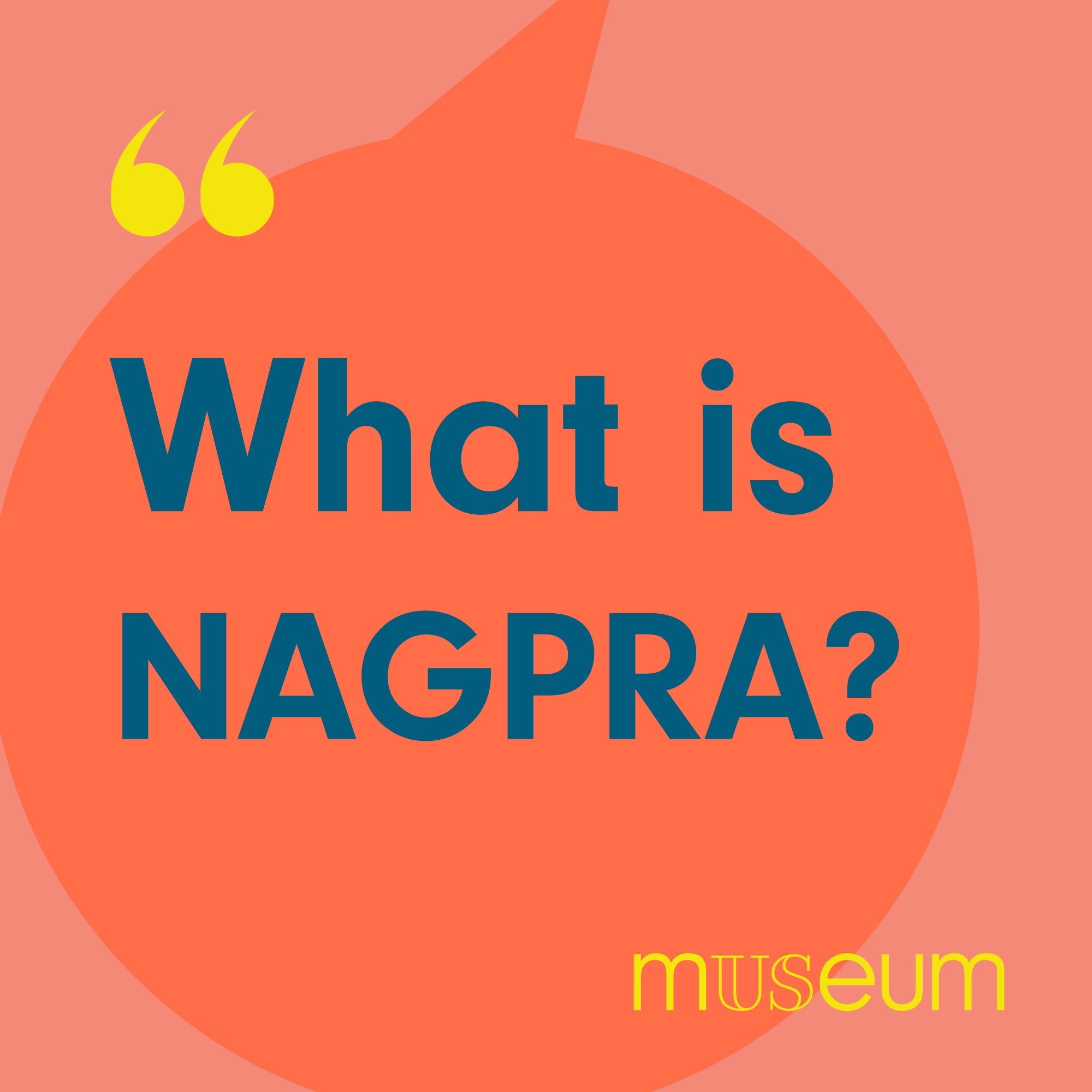 Graphically designed image with an orange speech bubble on top of a slightly lighter shade of orange background. Blue text in the speech bubble says "What is NAGPRA?"